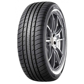 DEXTERO DTR1 